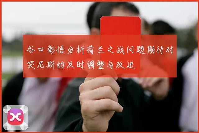 谷口彰悟分析荷兰之战问题期待对突尼斯的及时调整与改进